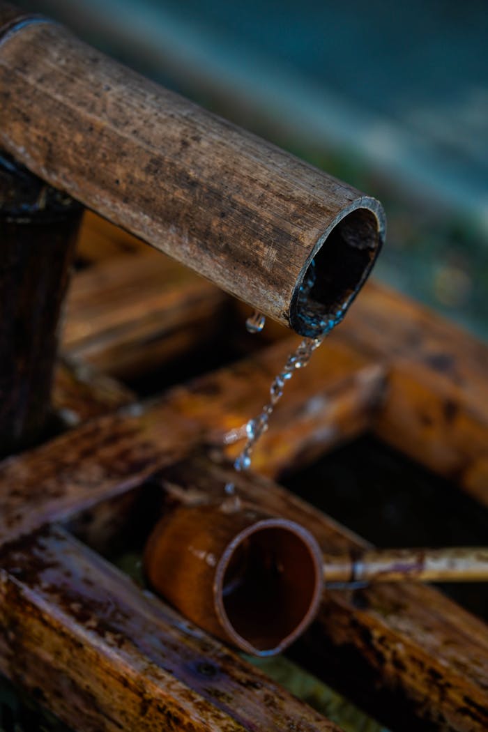 Close-up of a bamboo water feature, highlighting gentle water flow from a pipe.