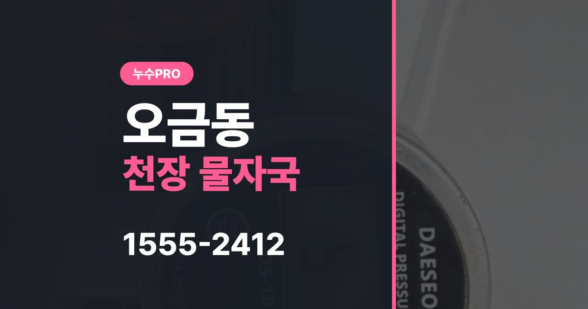 ogeum dong nusupro thumb