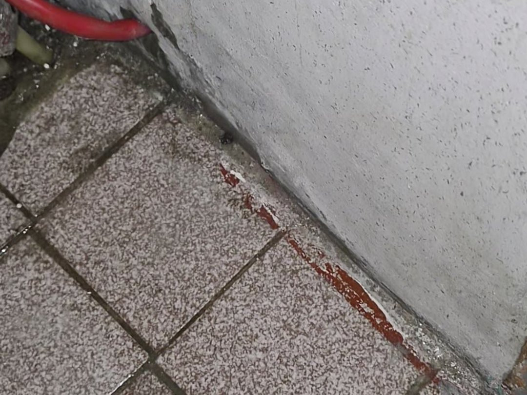 벽과 바닥이 만나는 틈 주변의 물기