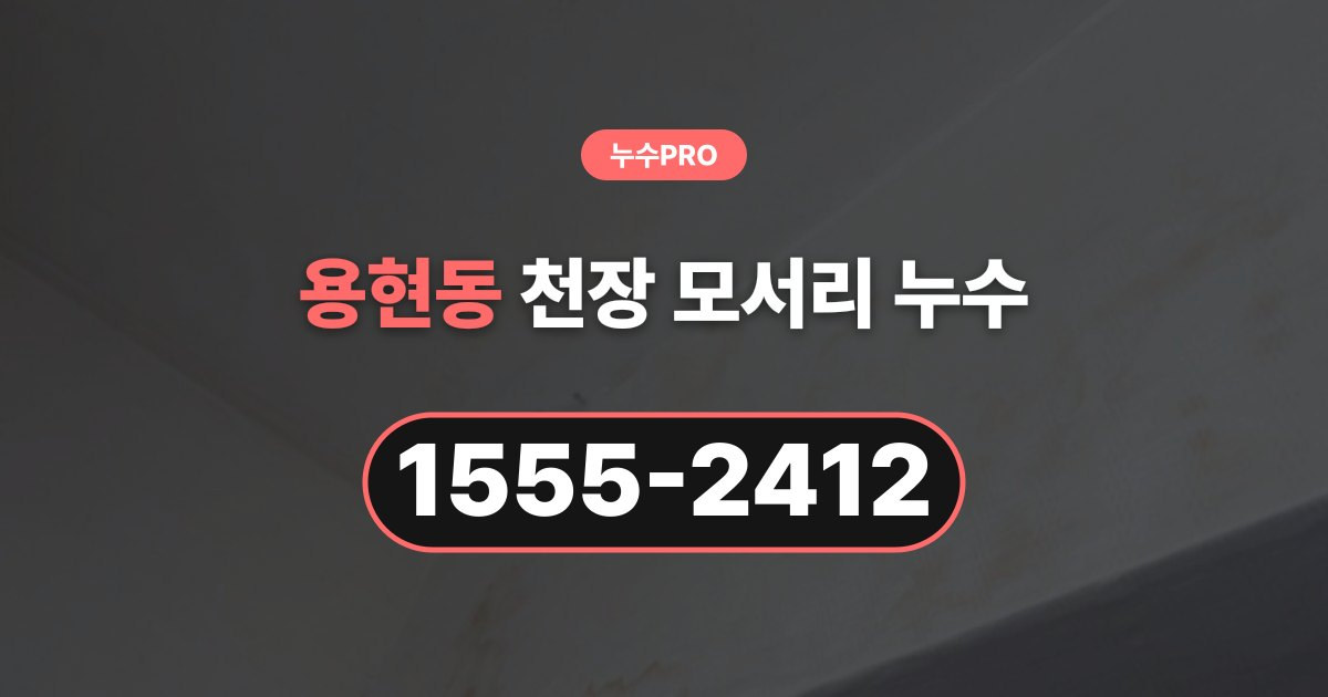 용현동 누수탐지 천장 모서리 누수 몰딩 따라 번지는 물자국